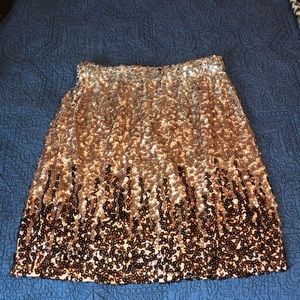 Sequin Mini Skirt